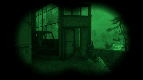 S.T.A.L.K.E.R. Grafiken. 2 im Dunkeln