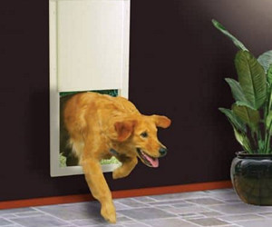 High Tech Pet Power Elektronische Haustiertür Test