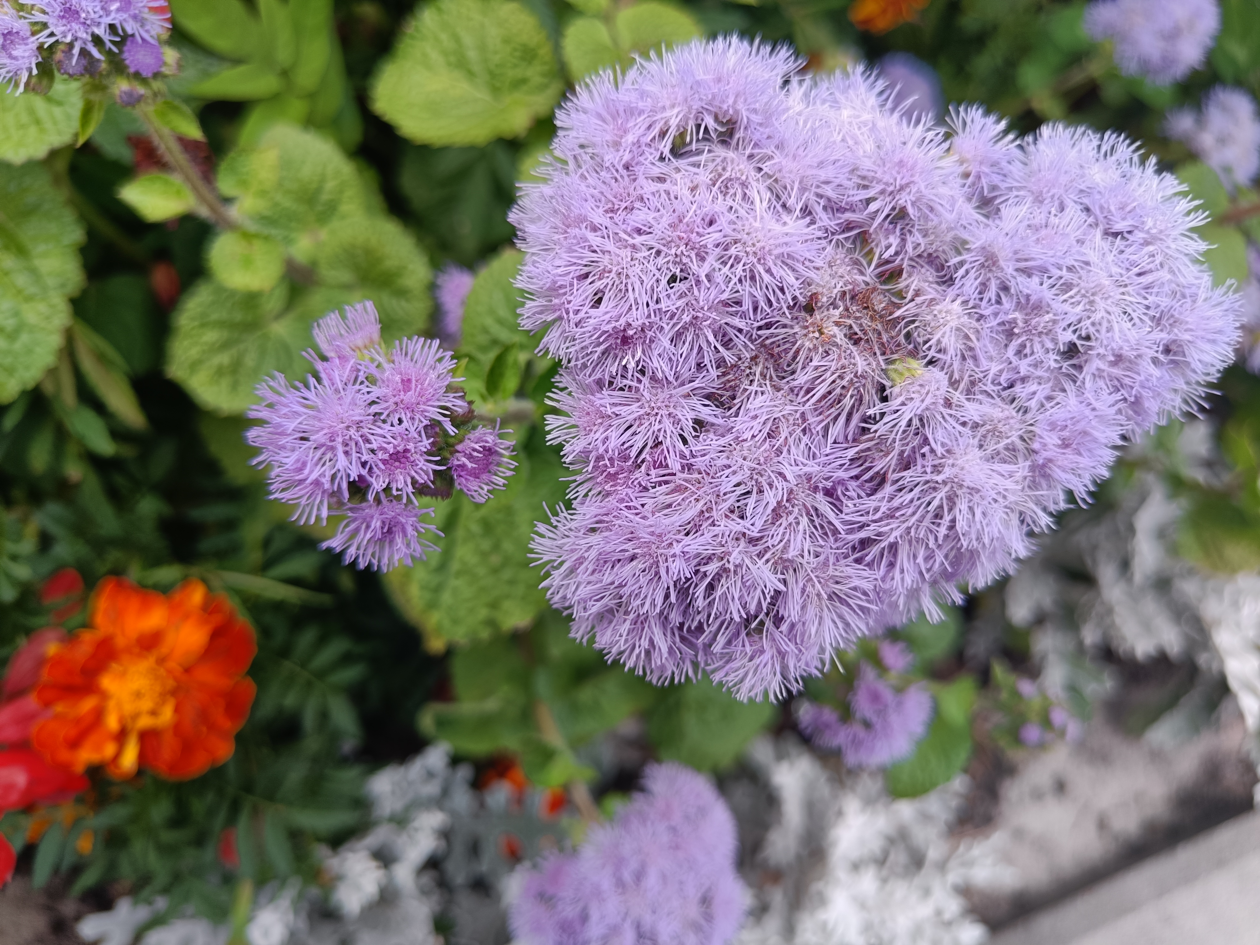 Oneplus Nord 2 Test: Aufladen in 35 Minuten und klassenbeste Kamera-175