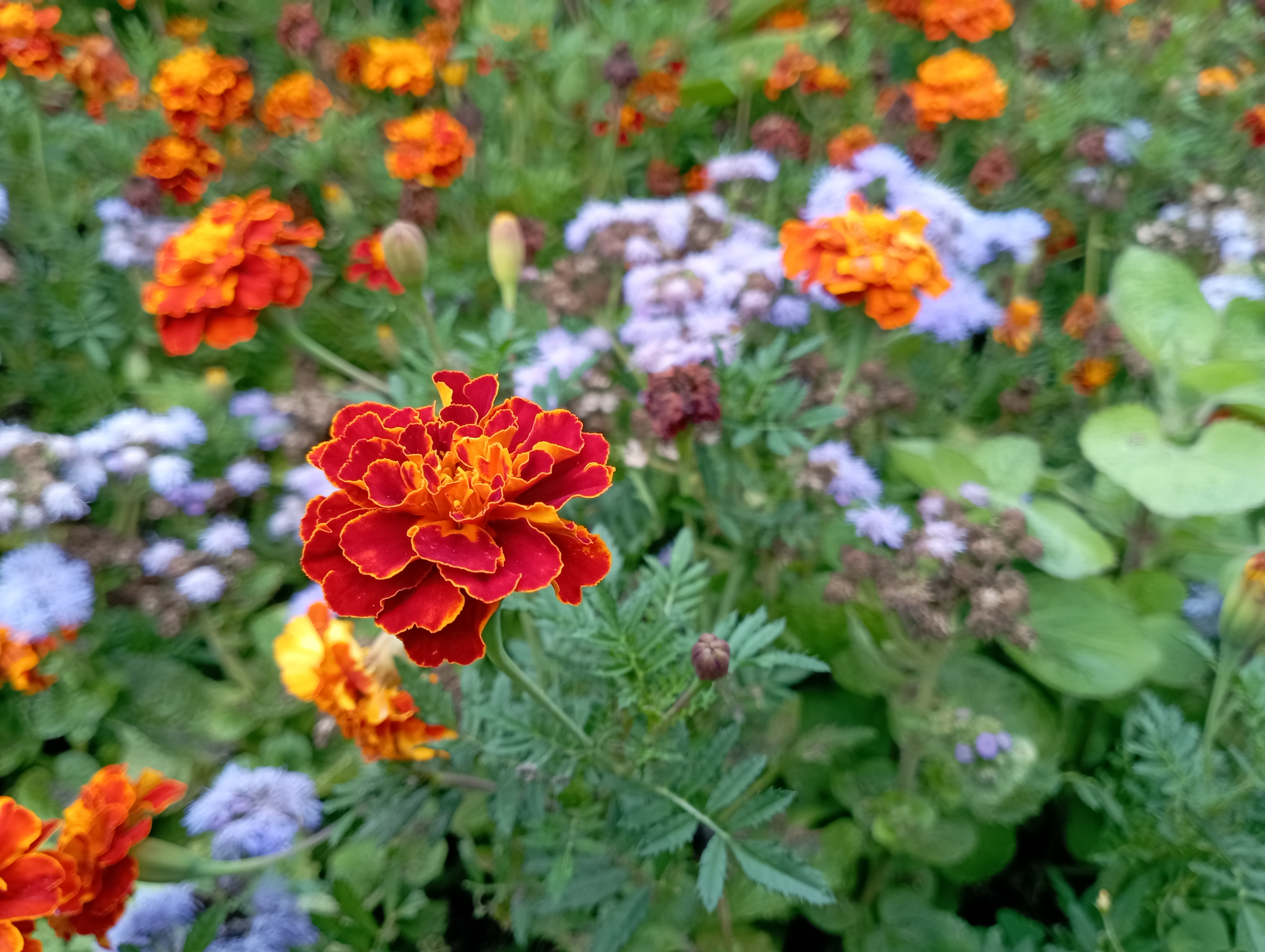 Xiaomi Redmi 10 Test: Der legendäre Budget-Hersteller, jetzt mit einer 50-Megapixel-Kamera-188 Xiaomi Redmi 10 Test: Der legendäre Budget-Hersteller, jetzt mit einer 50-Megapixel-Kamera-188