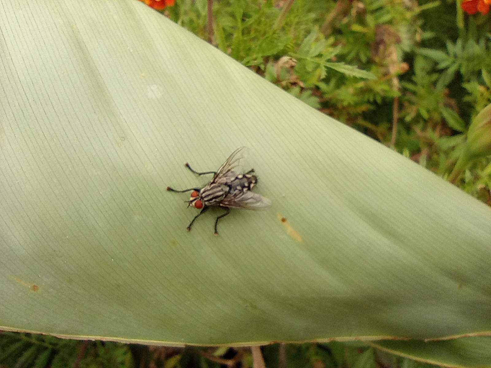 Xiaomi Redmi 10 Test: Der legendäre Budget-Hersteller, jetzt mit einer 50-Megapixel-Kamera-249 Xiaomi Redmi 10 Test: Der legendäre Budget-Hersteller, jetzt mit einer 50-Megapixel-Kamera-249