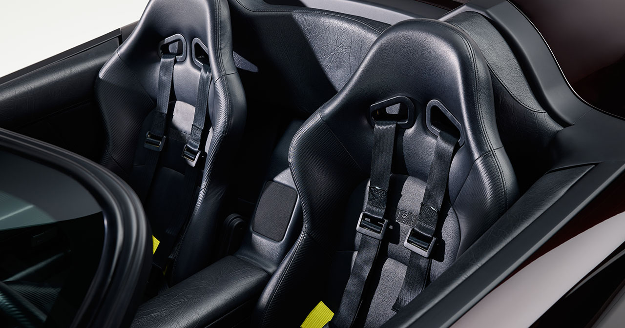 Acura NSX Roadster - Fahrerseitendetail