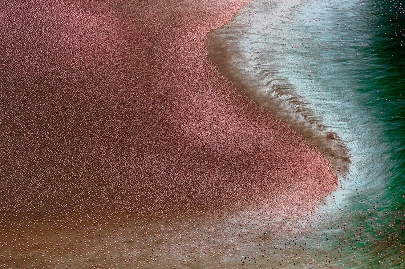 Die Welt mit den Augen von Drohnen: Sehen Sie die besten Beiträge der Drone Photo Awards 2024-4 Die Welt mit den Augen von Drohnen: Sehen Sie die besten Beiträge der Drone Photo Awards 2024-4