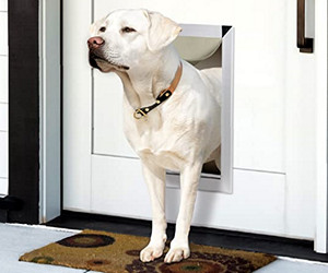 eXtreme Performance Locking Rugged Aluminum Dog Doors for Exterior Doors review