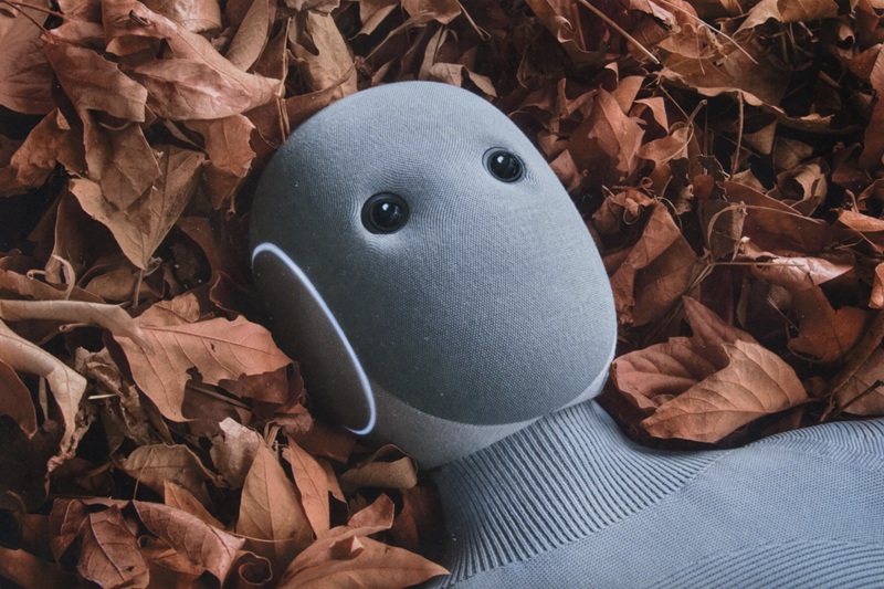 NEO Home Robot im Innenraum NEO Home Robot im Innenraum