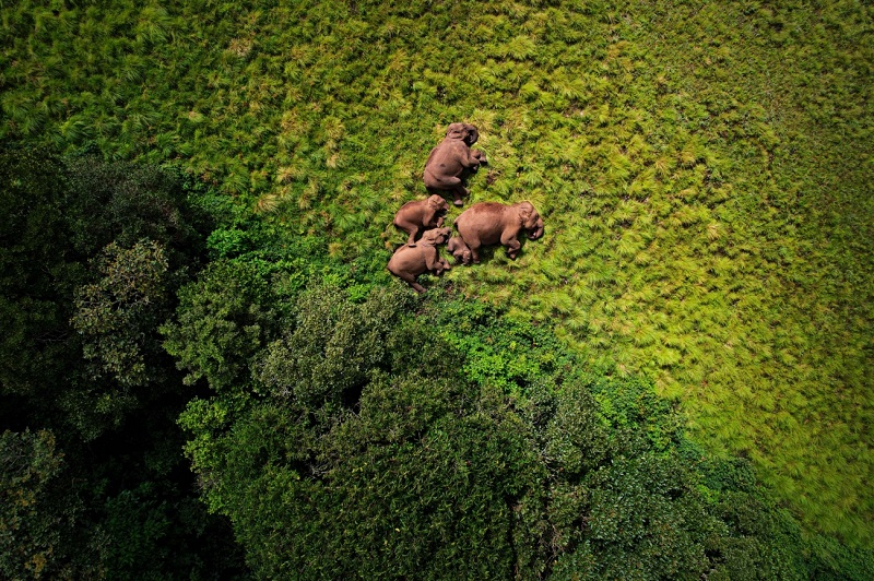 Die Welt mit den Augen von Drohnen: Sehen Sie die besten Beiträge der Drone Photo Awards 2024-8 Die Welt mit den Augen von Drohnen: Sehen Sie die besten Beiträge der Drone Photo Awards 2024-8
