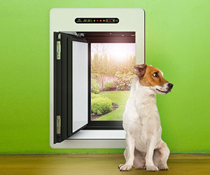 Smart petWALK Dog Door review