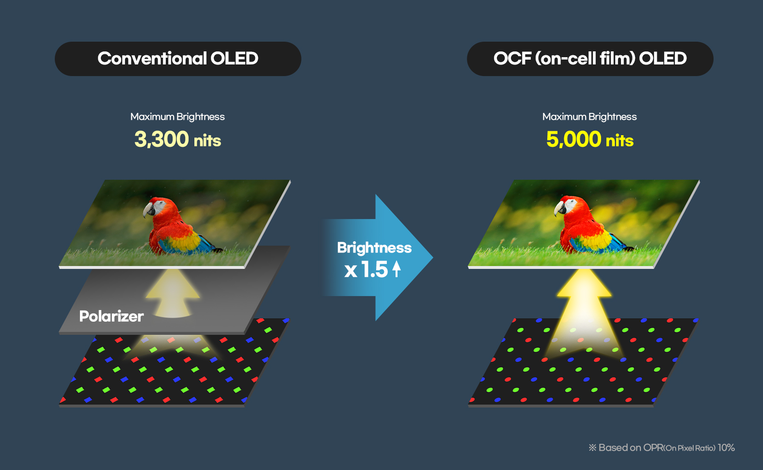 Strukturdiagramm der OCF-Technologie von Samsung Display
