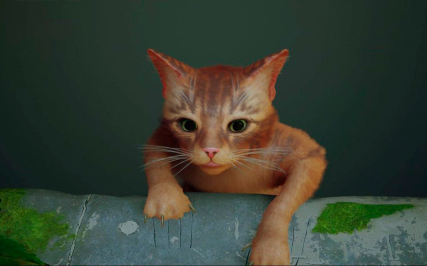 Die Geschichte von Stray: Wie eine Katze aus einer Cyberstadt zur Entdeckung des Jahres wurde und die Spieleindustrie beeinflusste-3 Die Geschichte von Stray: Wie eine Katze aus einer Cyberstadt zur Entdeckung des Jahres wurde und die Spieleindustrie beeinflusste-3