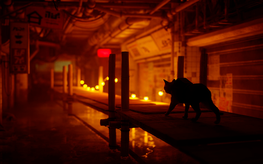 Die Geschichte von Stray: Wie eine Katze aus einer Cyberstadt zur Entdeckung des Jahres wurde und die Spieleindustrie beeinflusste-7 Die Geschichte von Stray: Wie eine Katze aus einer Cyberstadt zur Entdeckung des Jahres wurde und die Spieleindustrie beeinflusste-7