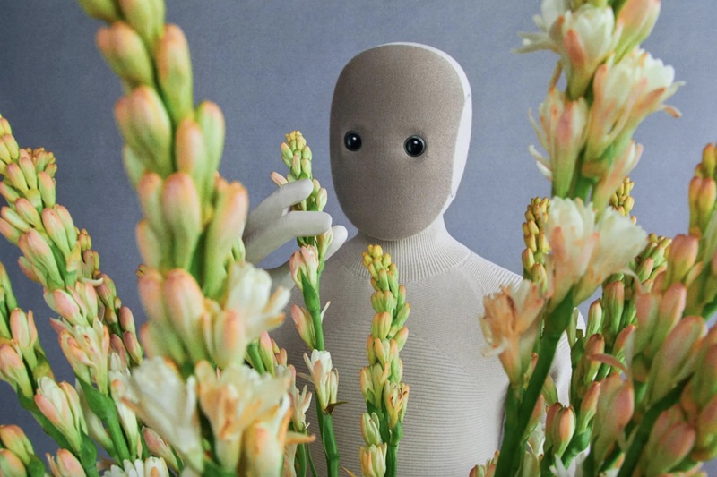 NEO Home Robot Funktionalität NEO Home Robot Funktionalität